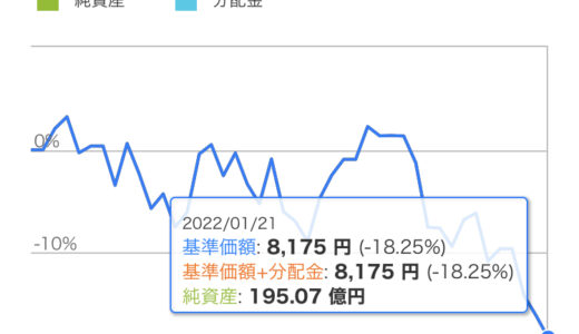 楽天レバナス買ってみた③新年早々レバレッジの洗礼。購入後1ヶ月の実績公開！